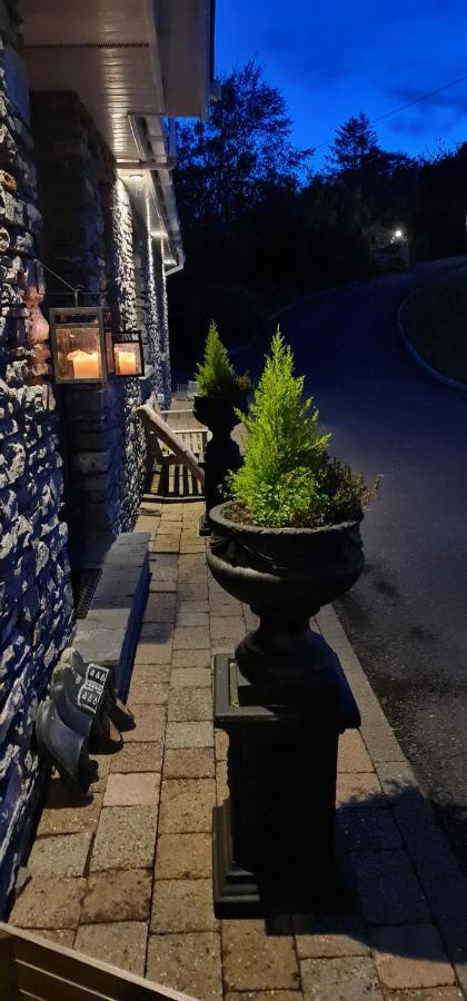 Kenmare Driftwood Bed & Breakfast Екстер'єр фото