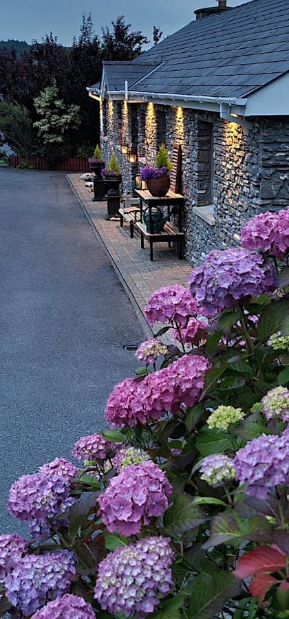 Kenmare Driftwood Bed & Breakfast Екстер'єр фото